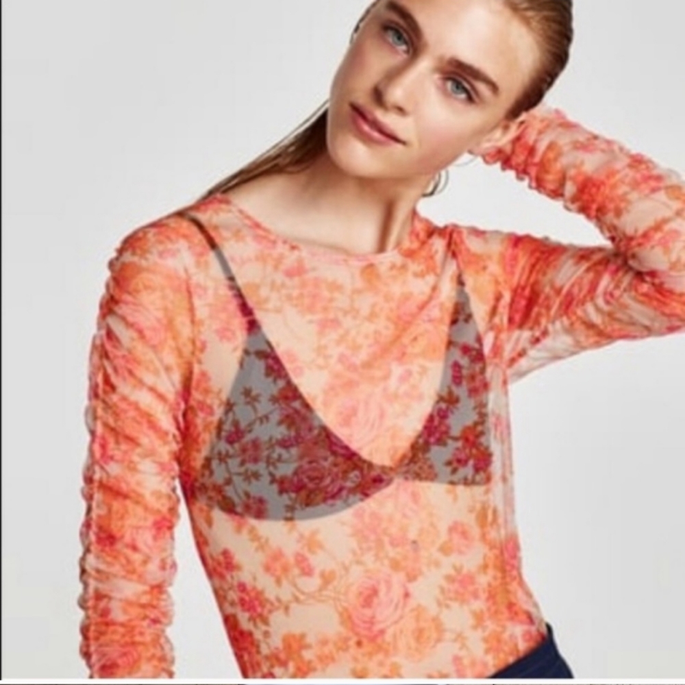 Zara Gorgeous Rosy Floral Mesh Organza Zara Top
